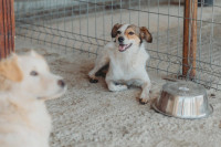 /album/261/whatsapp-image-2026-03-11-at-21-02-02-1-jpeg/